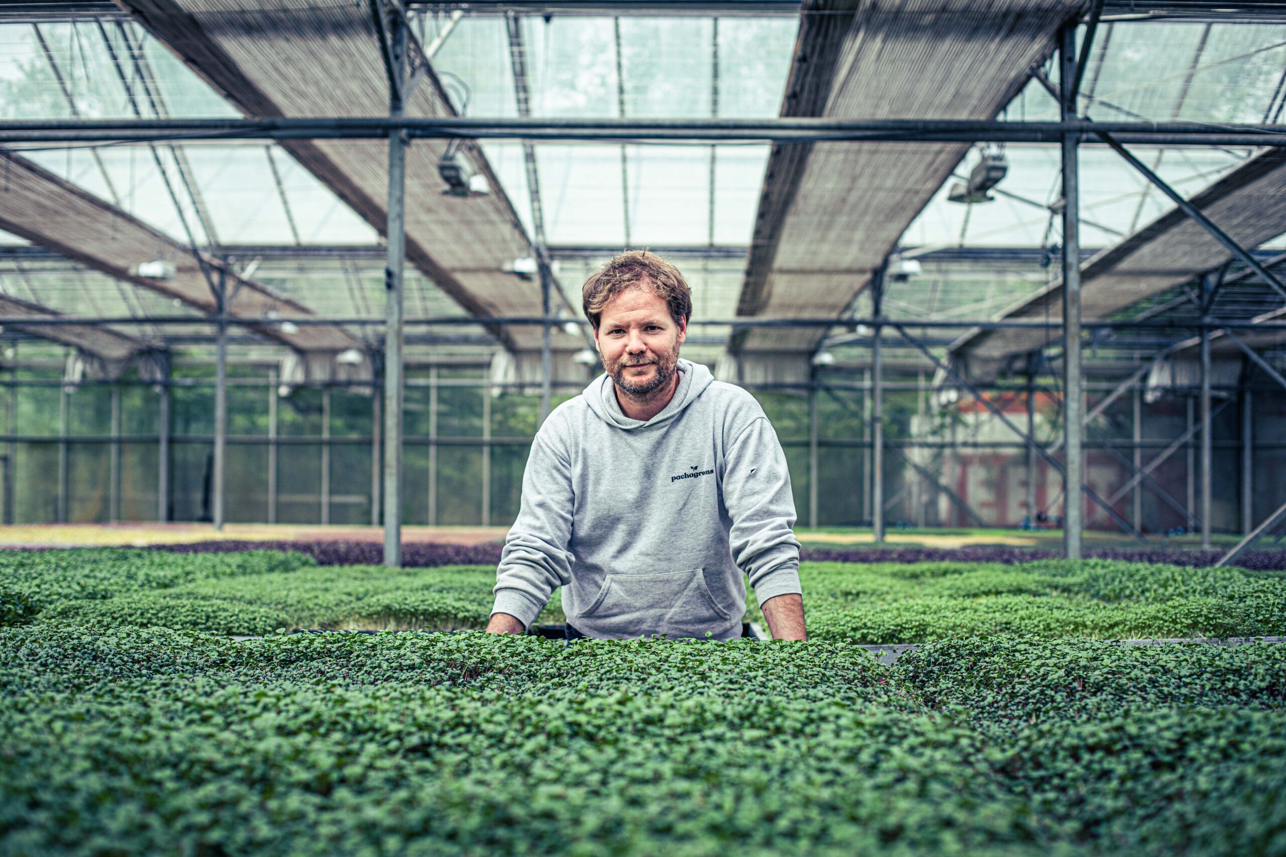Teel zelf microgroenten: workshop en opendeurdag in kwekerij
